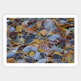 Frosty Leaves Sticker